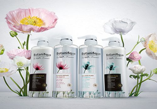 hotel-mallion/rental-shanpoo/botanifique